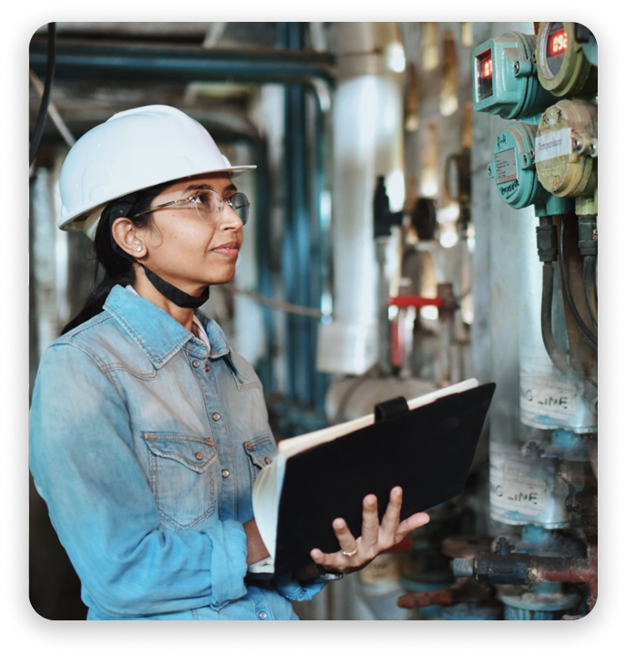 In service inspectors